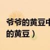 爷爷的黄豆中爷爷给予我的财富是什么（爷爷的黄豆）
