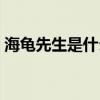 海龟先生是什么意思（海龟先生是广西人吗）