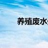 养殖废水处理工艺设计（工艺设计）