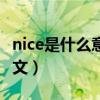 nice是什么意思中文意思（nice是什么意思中文）
