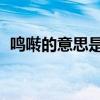 鸣啭的意思是什么 标准答案（鸣啭的意思）
