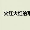 火红火红的苹果像什么（火红火红的苹果）