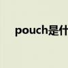 pouch是什么牌子（ports是什么牌子）