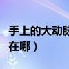 手上的大动脉在哪个位置图片（手上的大动脉在哪）