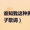 谁知我这种男孩子歌词意思（谁知我这种男孩子歌词）