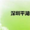 深圳平湖邮编查询（深圳平湖邮编）