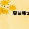 夏目朝子表白哪一话（夏目朝子）