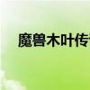 魔兽木叶传说隐藏英雄（魔兽木叶传说）
