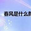 春风是什么颜色的阅读答案（春风是什么）