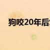 狗咬20年后复发视频（狗咬20年后复发）