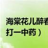 海棠花儿醉春风打一中药名（海棠花儿醉春风打一中药）