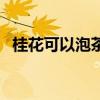 桂花可以泡茶喝吗（桂花茶可以天天喝吗）