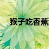 猴子吃香蕉游戏丛林飞跃(猴子吃香蕉) 猴子吃香蕉游戏丛林飞跃(猴子吃香蕉)