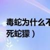 毒蛇为什么不会被自己毒死（毒蛇为什么咬不死蛇獴）
