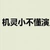 机灵小不懂演员表全部（机灵小不懂演员表）