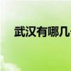 武汉有哪几个大学（武汉有多少所大学）