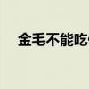 金毛不能吃什么水果（金毛不能吃什么）