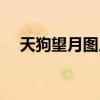 天狗望月图片写一段话（天狗望月图片）
