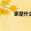 家是什么作文600字（家是什么）
