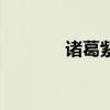 诸葛紫岐陈法拉（诸葛紫岐）