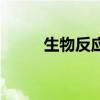 生物反应器的原理（生物反应器）