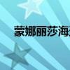 蒙娜丽莎海盗船长游戏（海盗船长游戏）