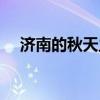 济南的秋天主要内容概括（济南的秋天）