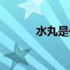 水丸是什么意思怎么吃(水丸) 水丸是什么意思怎么吃(水丸)