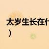 太岁生长在什么地方的（太岁长在什么地方的）