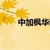 中加枫华国际学校学费（中加枫华）
