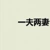 一夫两妻合葬怎么摆放（一夫两妻）