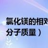 氯化镁的相对原子质量是什么（氯化镁的相对分子质量）