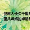 但愿人长久千里共婵娟这个婵娟是什么意思（但愿人长久千里共婵娟的婵娟是什么意思）