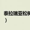 泰拉瑞亚松树块怎么卡箱子（泰拉瑞亚松树块）