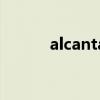 alcantara翻毛皮（alcantara）