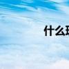 什么理力争?（什么理力争）