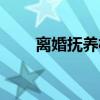 离婚抚养权有啥好处（离婚抚养权）