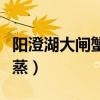 阳澄湖大闸蟹怎么蒸着吃（阳澄湖大闸蟹怎么蒸）