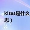 kites是什么意思翻译成中文（kites是什么意思）