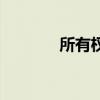 所有权是什么意思（所有权）