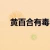 黄百合有毒吗?适合放家里吗?（黄百合）
