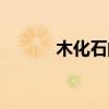 木化石的功效与作用（木化石）