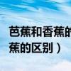 芭蕉和香蕉的区别哪个营养价值高（芭蕉和香蕉的区别）