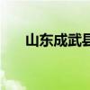 山东成武县简介（成武县属于哪个市）