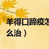 羊得口蹄疫怎么治疗效果好（羊得了口蹄疫怎么治）