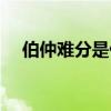 伯仲难分是什么意思（难分是什么意思）