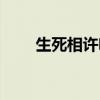 生死相许啥意思（生死相许无尽处）