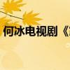 何冰电视剧《家里家外视频》（何冰电视剧）