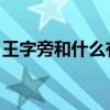 王字旁和什么有关 视频（王字旁和什么有关）