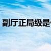 副厅正局级是什么级别（正局级是什么级别）